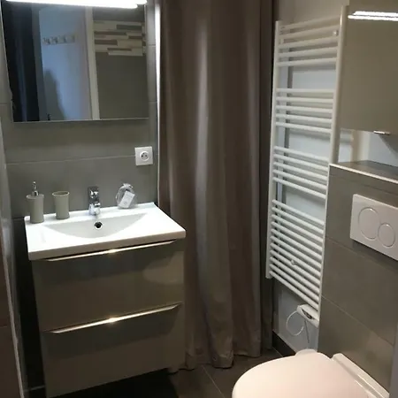 Pour Amoureux De La Nature Apartment Saint-Nectaire